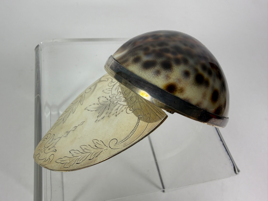 Vintage Tiffany & Co. Sterling Silver-Mounted Tiger Cowrie Shell Trinket or Snuff Box Made in Portugal 81g [Photo 7]