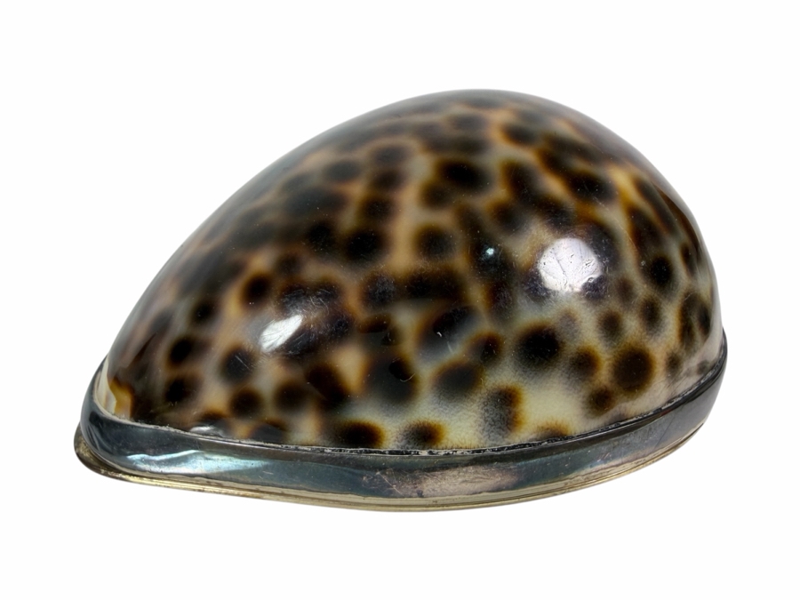 Vintage Tiffany & Co. Sterling Silver-Mounted Tiger Cowrie Shell Trinket or Snuff Box Made in Portugal 81g [Photo 4]