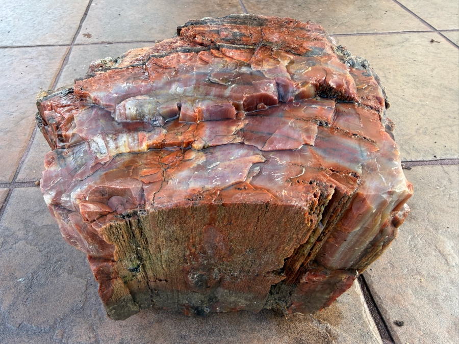 Just Added - Large Piece of Arizona Petrified Wood 10'W X 7'D X 5.5'H [Photo 3]