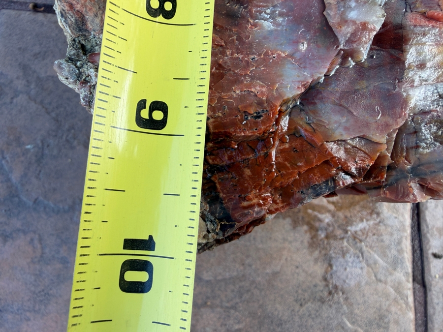 Just Added - Large Piece of Arizona Petrified Wood 10'W X 7'D X 5.5'H [Photo 7]