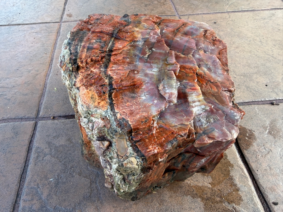 Just Added - Large Piece of Arizona Petrified Wood 10'W X 7'D X 5.5'H [Photo 5]