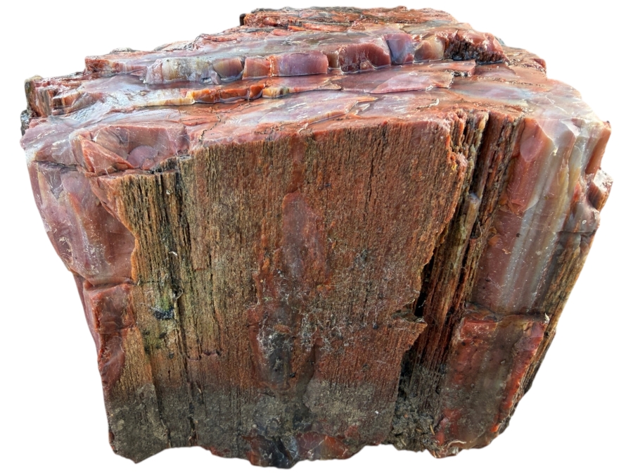 Just Added - Large Piece of Arizona Petrified Wood 10'W X 7'D X 5.5'H