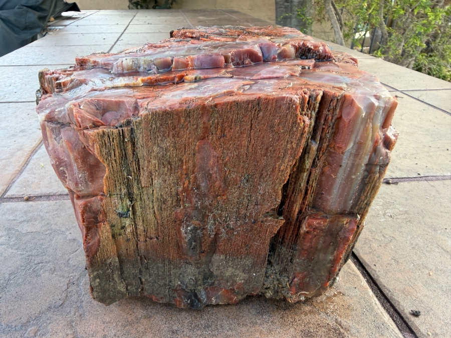 Just Added - Large Piece of Arizona Petrified Wood 10'W X 7'D X 5.5'H [Photo 2]