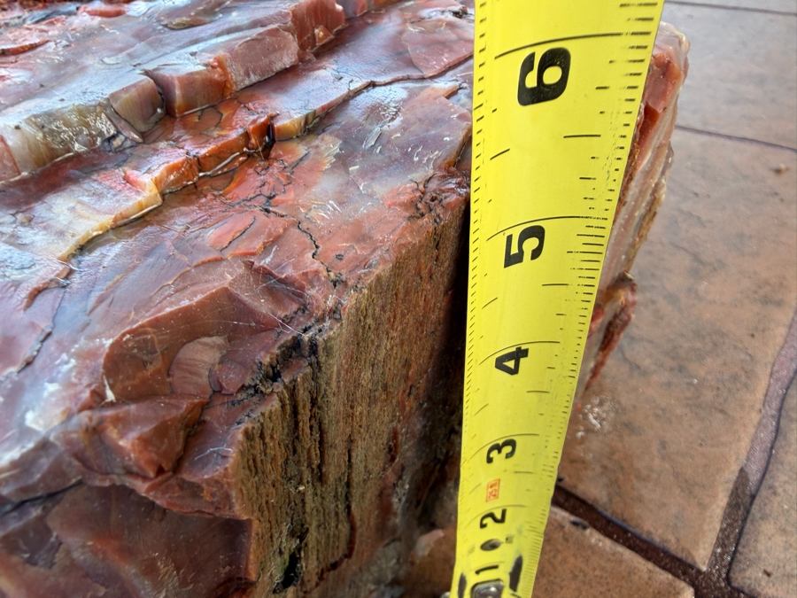 Just Added - Large Piece of Arizona Petrified Wood 10'W X 7'D X 5.5'H [Photo 9]