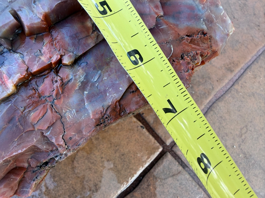 Just Added - Large Piece of Arizona Petrified Wood 10'W X 7'D X 5.5'H [Photo 8]