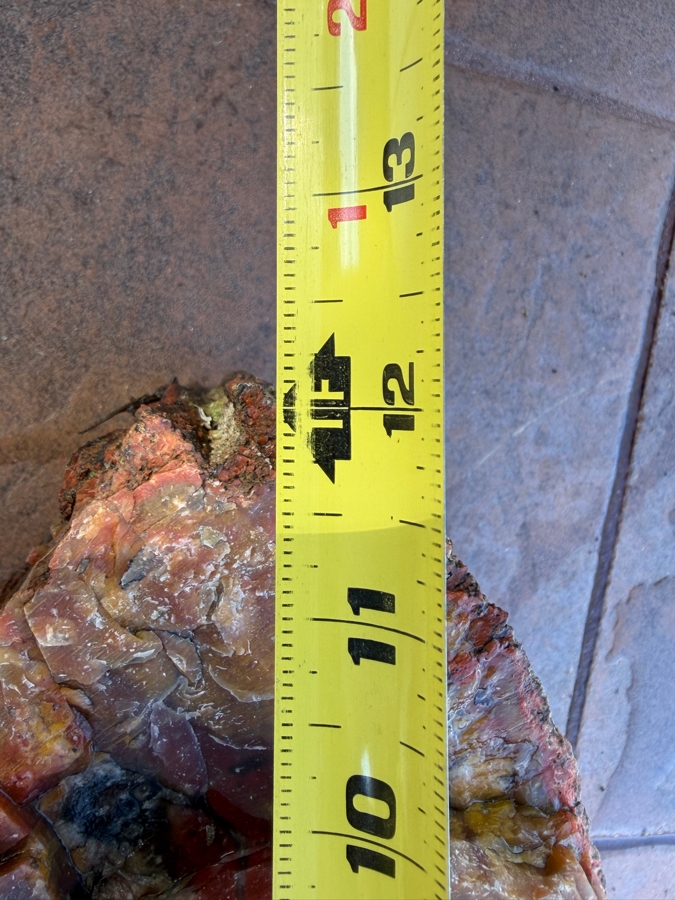 Just Added - Large Piece of Arizona Petrified Wood 12'W X 7'D X 8'H [Photo 11]