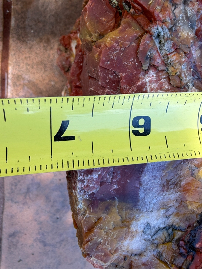 Just Added - Large Piece of Arizona Petrified Wood 12'W X 7'D X 8'H [Photo 12]