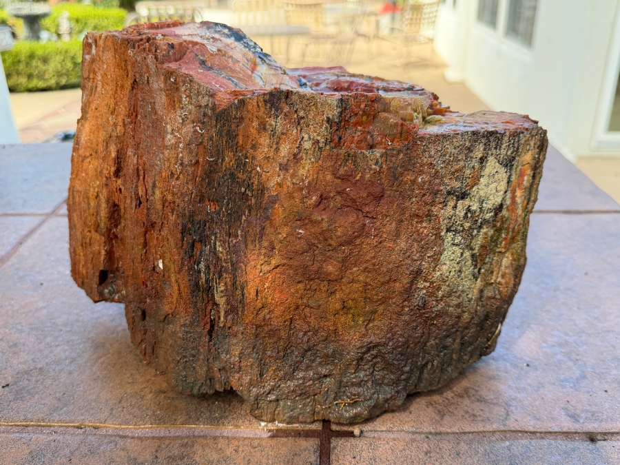 Just Added - Large Piece of Arizona Petrified Wood 12'W X 7'D X 8'H [Photo 6]