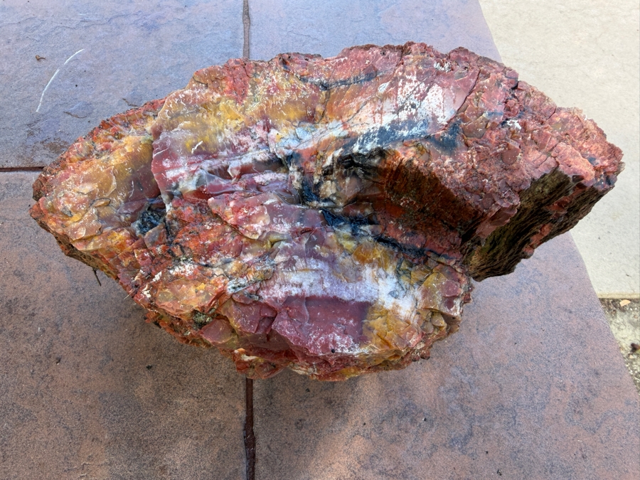 Just Added - Large Piece of Arizona Petrified Wood 12'W X 7'D X 8'H [Photo 5]