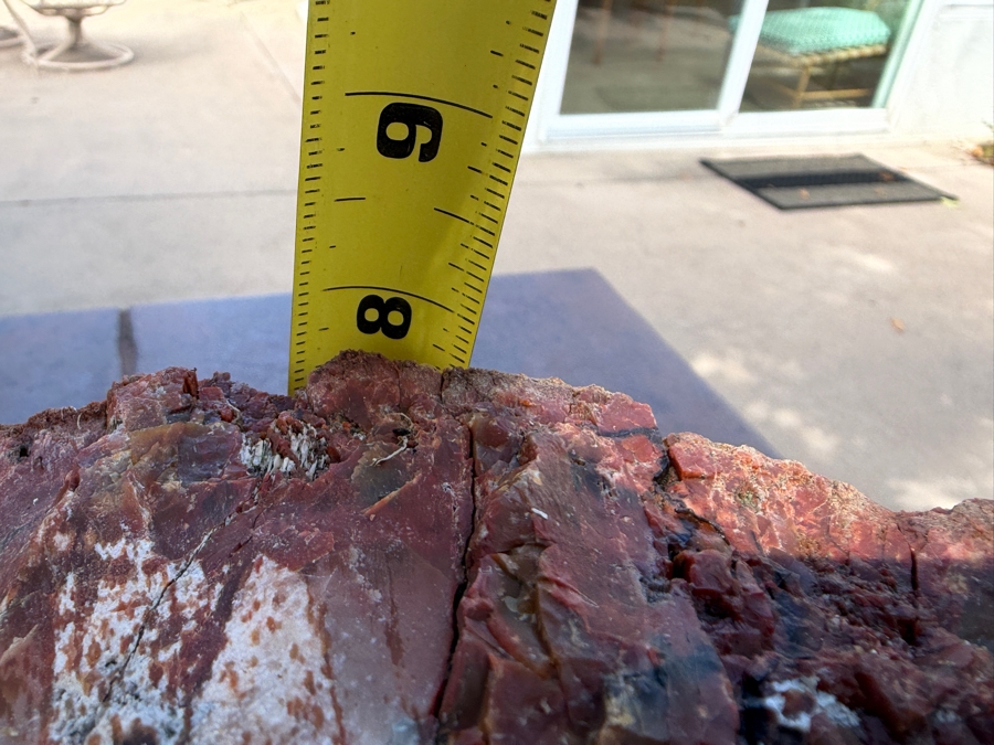 Just Added - Large Piece of Arizona Petrified Wood 12'W X 7'D X 8'H [Photo 13]