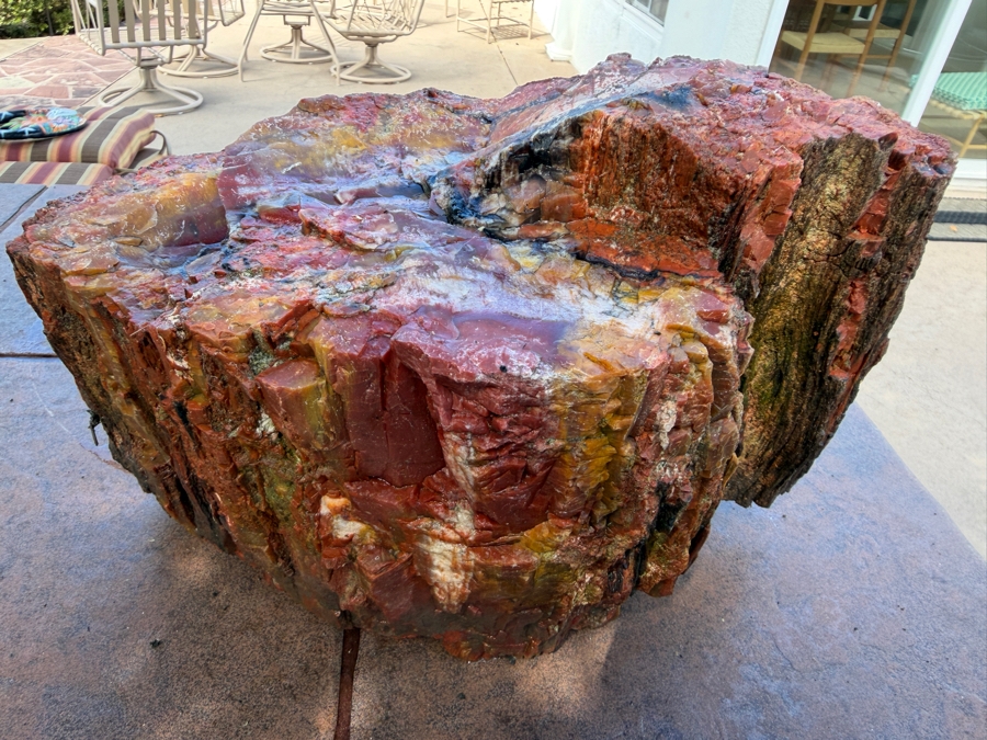 Just Added - Large Piece of Arizona Petrified Wood 12'W X 7'D X 8'H [Photo 3]