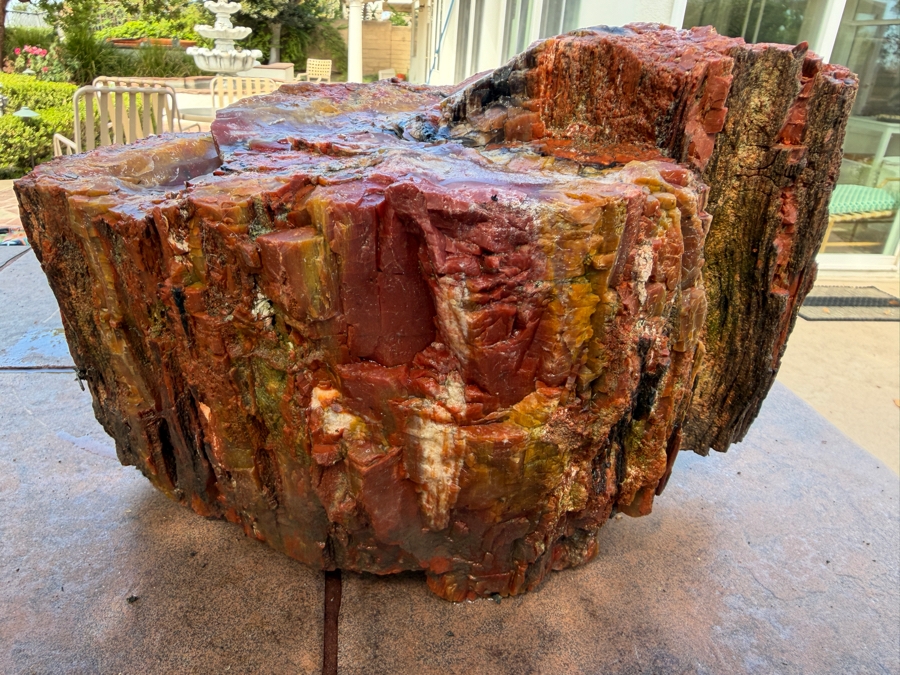 Just Added - Large Piece of Arizona Petrified Wood 12'W X 7'D X 8'H [Photo 4]