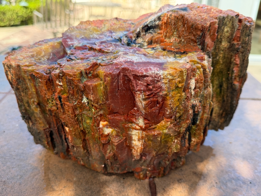 Just Added - Large Piece of Arizona Petrified Wood 12'W X 7'D X 8'H [Photo 8]