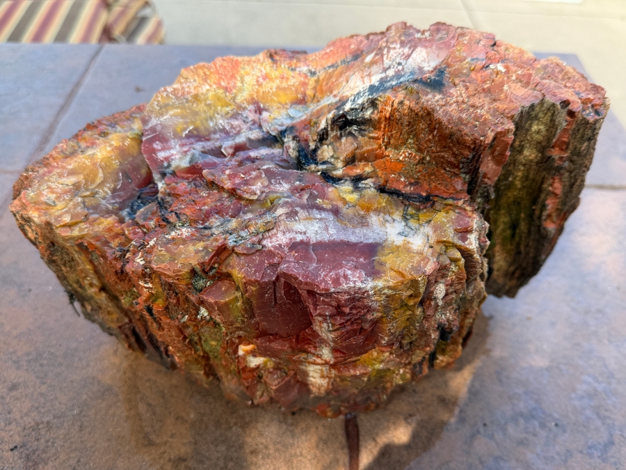 Just Added - Large Piece of Arizona Petrified Wood 12'W X 7'D X 8'H [Photo 9]