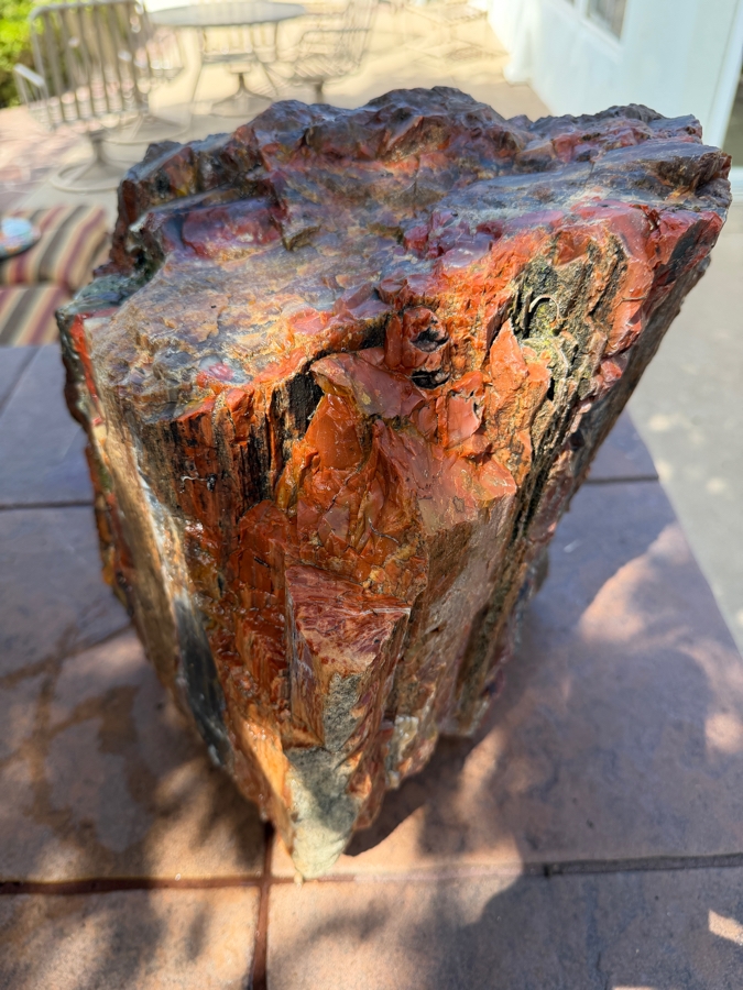 Just Added - Large Piece of Arizona Petrified Wood 11'W X 9'D X 13'H [Photo 5]