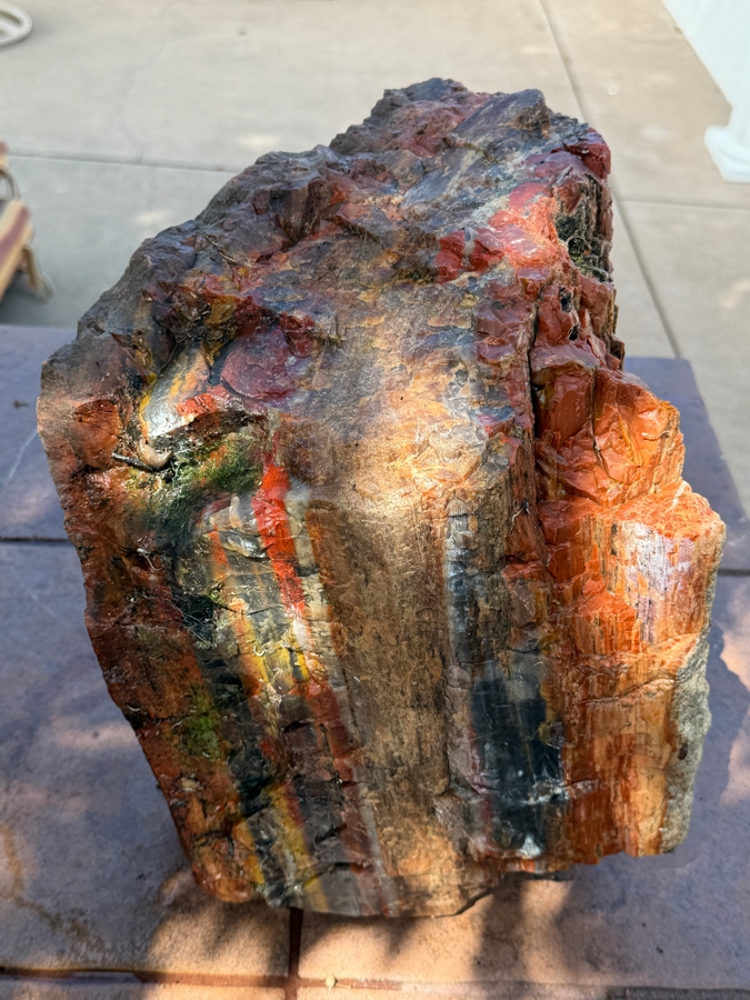 Just Added - Large Piece of Arizona Petrified Wood 11'W X 9'D X 13'H [Photo 9]