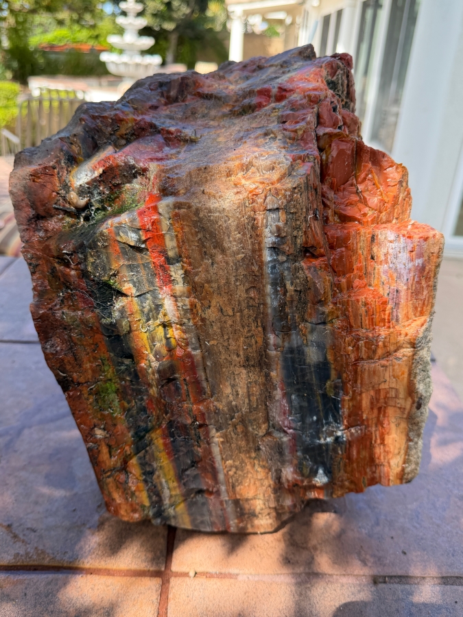 Just Added - Large Piece of Arizona Petrified Wood 11'W X 9'D X 13'H [Photo 2]
