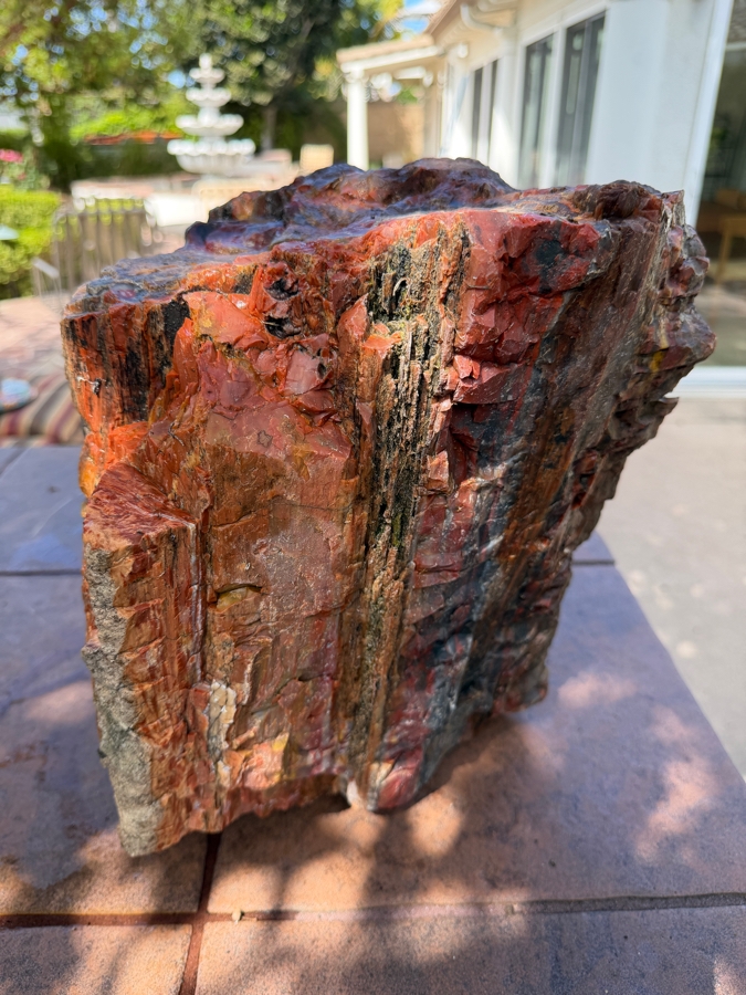 Just Added - Large Piece of Arizona Petrified Wood 11'W X 9'D X 13'H [Photo 3]
