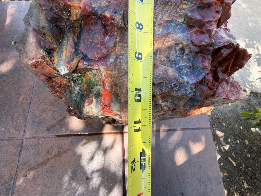 Just Added - Large Piece of Arizona Petrified Wood 11'W X 9'D X 13'H [Photo 12]