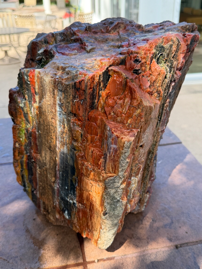 Just Added - Large Piece of Arizona Petrified Wood 11'W X 9'D X 13'H [Photo 4]