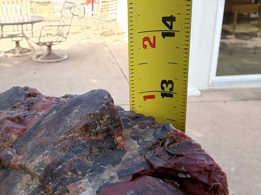 Just Added - Large Piece of Arizona Petrified Wood 11'W X 9'D X 13'H [Photo 11]