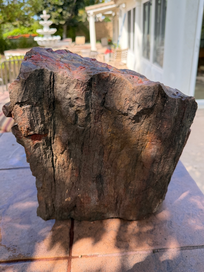 Just Added - Large Piece of Arizona Petrified Wood 11'W X 9'D X 13'H [Photo 8]