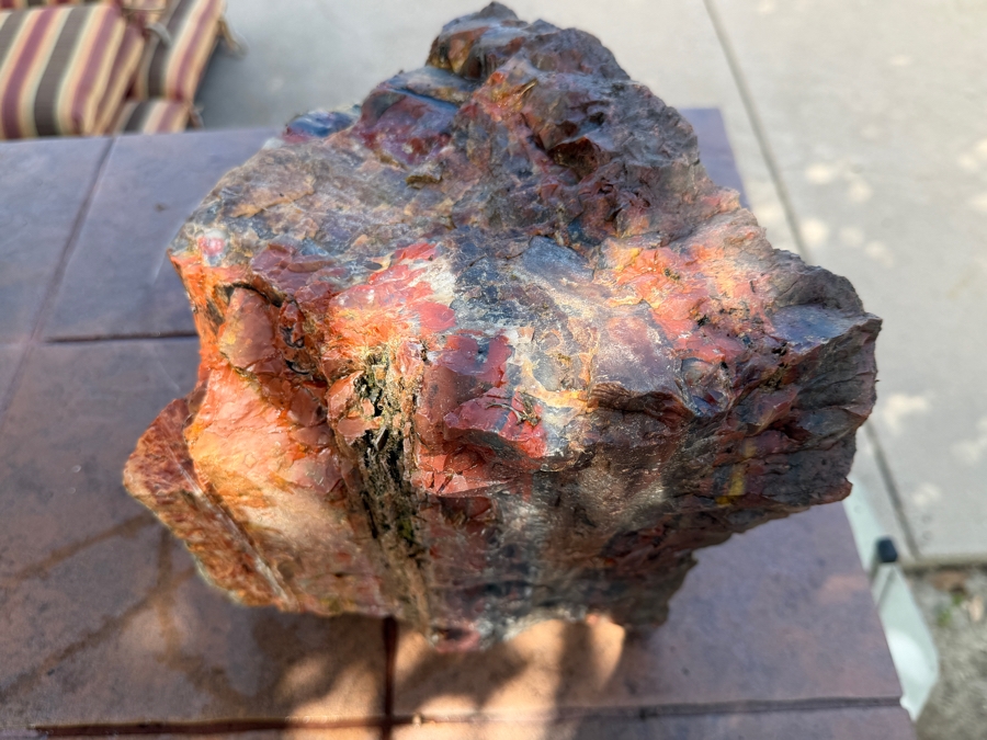 Just Added - Large Piece of Arizona Petrified Wood 11'W X 9'D X 13'H [Photo 7]