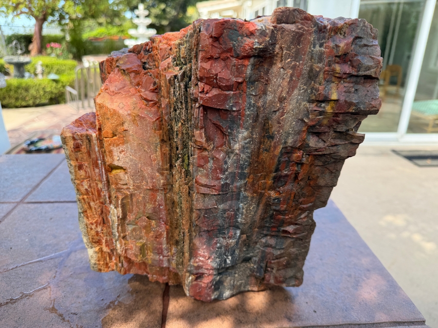 Just Added - Large Piece of Arizona Petrified Wood 11'W X 9'D X 13'H [Photo 6]