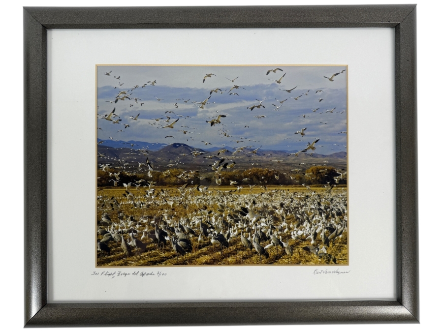 Just Added - Fine Art Print Titled 'In Flight, Bosque del Apache' Signed Lower Right and Numbered 7 of 100 10' X 8' Framed [Photo 2]