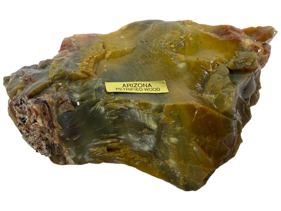 Just Added - Piece of Arizona Petrified Wood 5.5W X 3'D X 2.5'H