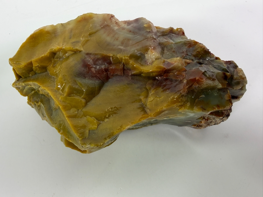 Just Added - Piece of Arizona Petrified Wood 5.5W X 3'D X 2.5'H [Photo 5]