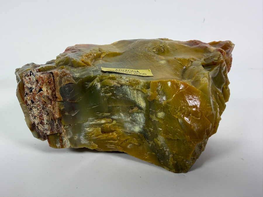Just Added - Piece of Arizona Petrified Wood 5.5W X 3'D X 2.5'H [Photo 3]