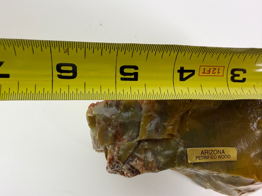 Just Added - Piece of Arizona Petrified Wood 5.5W X 3'D X 2.5'H [Photo 6]