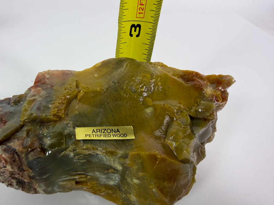 Just Added - Piece of Arizona Petrified Wood 5.5W X 3'D X 2.5'H [Photo 8]