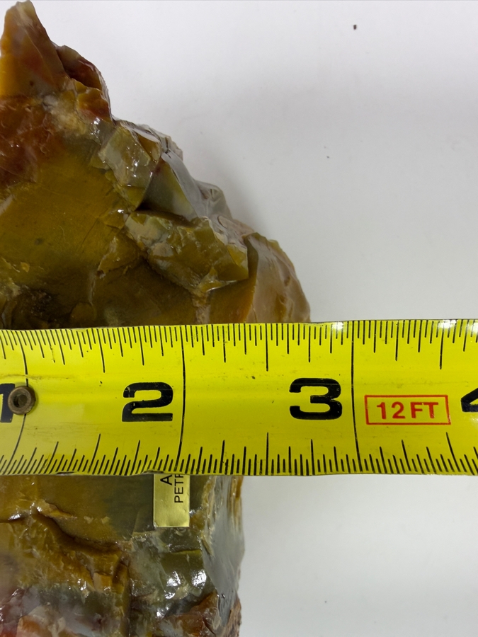 Just Added - Piece of Arizona Petrified Wood 5.5W X 3'D X 2.5'H [Photo 7]