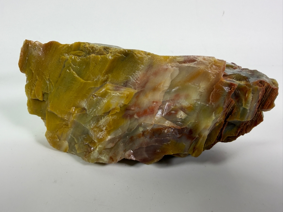 Just Added - Piece of Arizona Petrified Wood 5.5W X 3'D X 2.5'H [Photo 4]