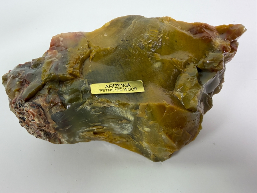 Just Added - Piece of Arizona Petrified Wood 5.5W X 3'D X 2.5'H [Photo 2]