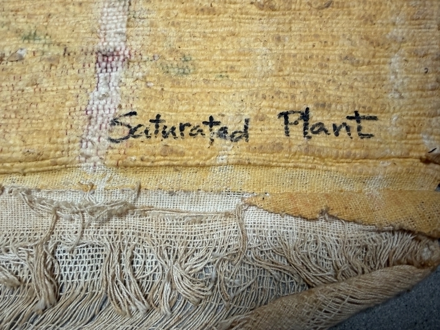 Gerrit Greve (1948-2024, Cardiff by the Sea, CA) Original Acrylic Painting On Canvas Titled 'Saturated Plant' Signed Lower Right 54 X 34 Estimate $1,800 - $2,300 [Photo 6]