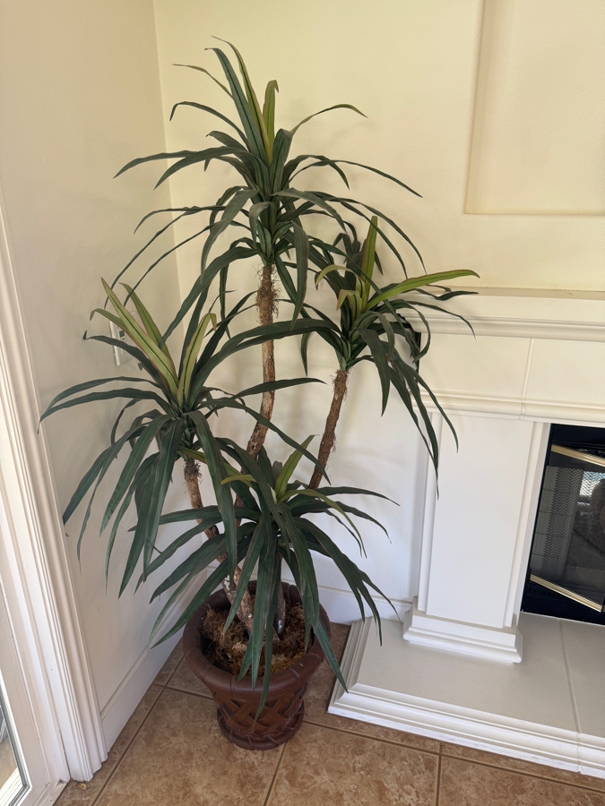 Just Added - Large Faux Yucca Silk Tree In Decorative Basket Pattern Planter Pot 65'H [Photo 3]