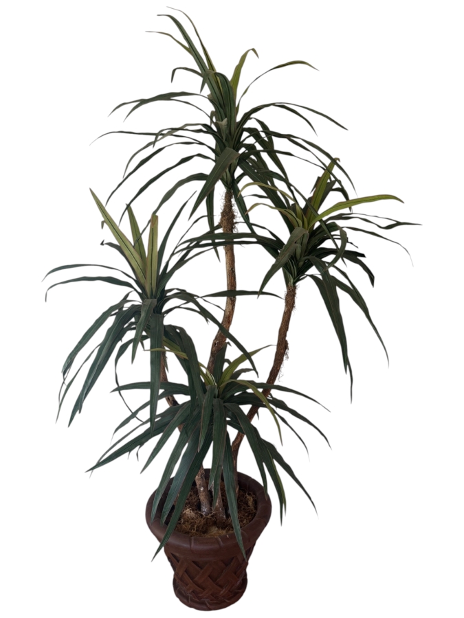 Just Added - Large Faux Yucca Silk Tree In Decorative Basket Pattern Planter Pot 65'H