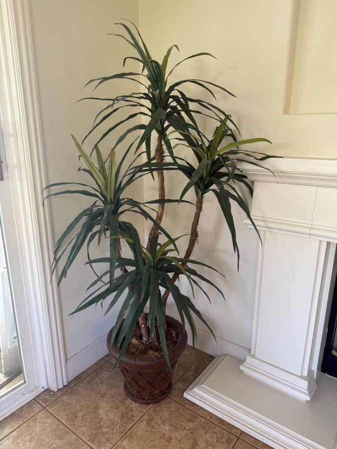 Just Added - Large Faux Yucca Silk Tree In Decorative Basket Pattern Planter Pot 65'H [Photo 2]