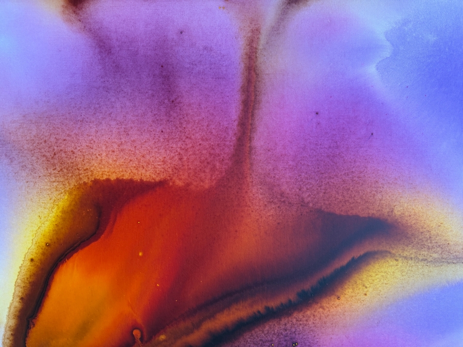 Gerrit Greve (1948-2024, Cardiff by the Sea, CA) Original Acrylic Painting On Canvas Titled 'Flowers' 2019 Signed Verso 40 X 30 Estimate $1,200 - $1,500 [Photo 4]