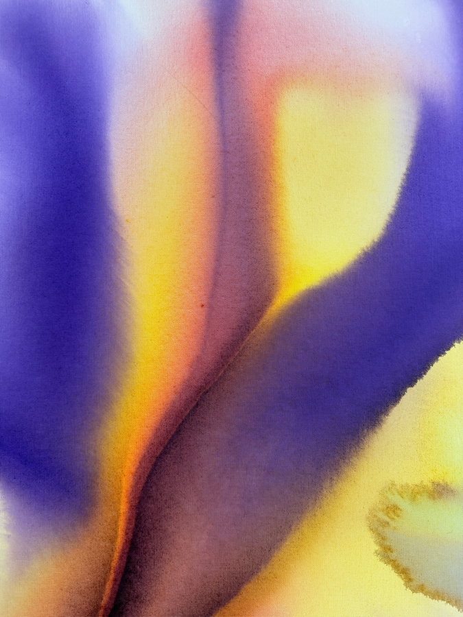 Gerrit Greve (1948-2024, Cardiff by the Sea, CA) Original Acrylic Painting On Canvas Titled 'Flowers' 2019 Signed Bottom Left And Verso 30 X 40 Estimate $1,200 - $1,500 [Photo 4]