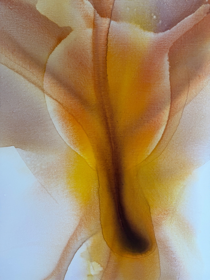 Gerrit Greve (1948-2024, Cardiff by the Sea, CA) Original Acrylic Painting On Canvas Titled 'Flowers' 2019 Signed Verso 30 X 40 Estimate $1,200 - $1,500 [Photo 3]