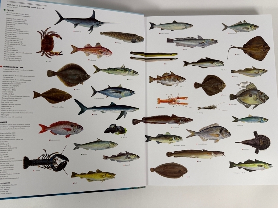 Celebrity Photography Hardcover Book Icons by Oscar by Renowned Photojournalist Oscar Abolafia Retails $45.00 [Photo 3]