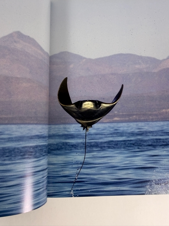 Celebrity Photography Hardcover Book Icons by Oscar by Renowned Photojournalist Oscar Abolafia Retails $45.00 [Photo 7]