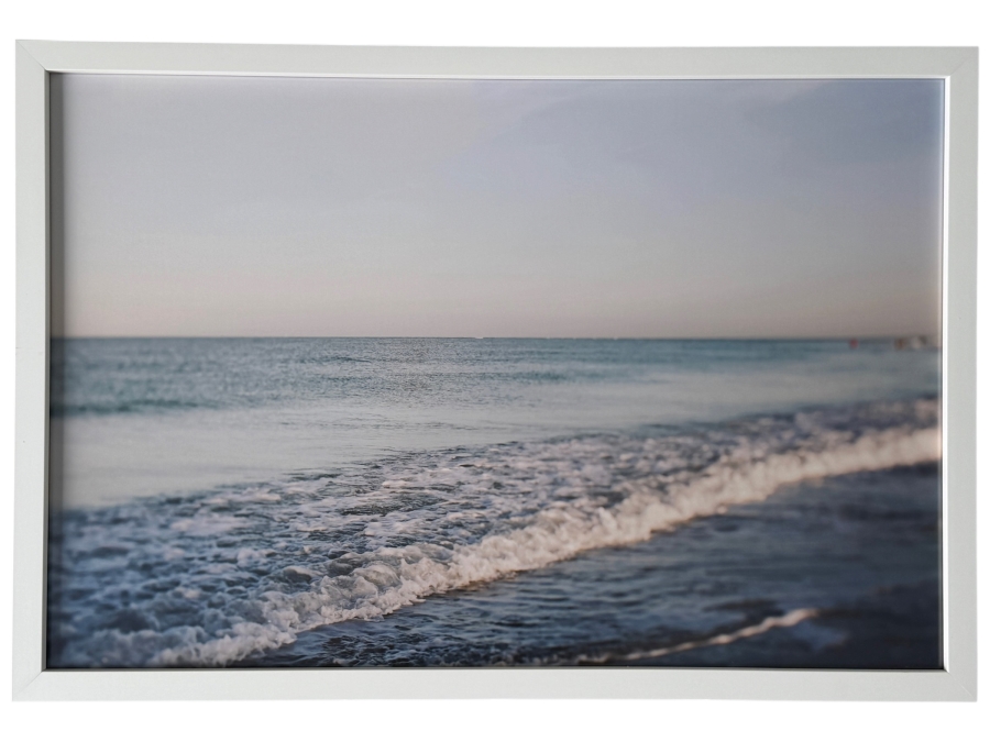 Comfort Zone, by Alicia Bock Framed Print 31.5' X 21.5' Retails $525