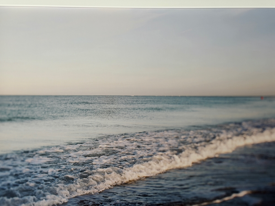 Comfort Zone, by Alicia Bock Framed Print 31.5' X 21.5' Retails $525 [Photo 2]