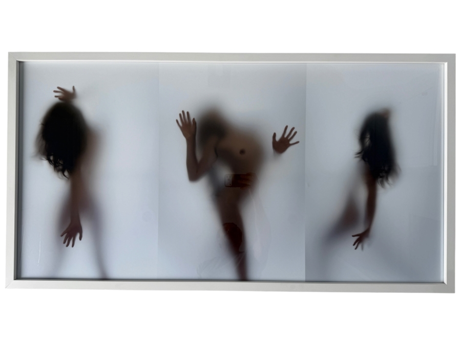 Reverie, by Danielle Biel Framed Print Retails $875+