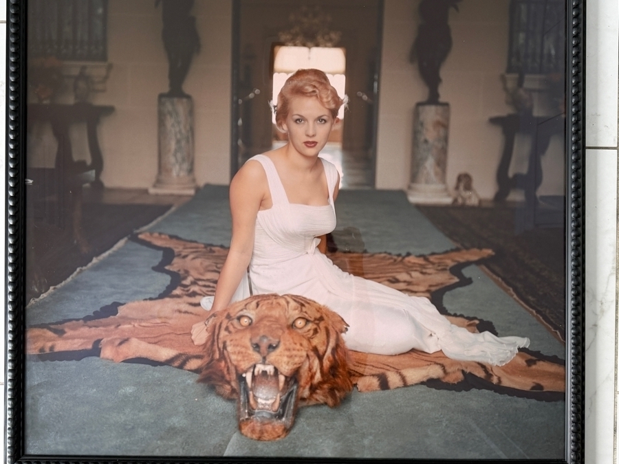Renowned American Photographer Slim Aarons Beauty and the Beast (1959) Featuring Lady Daphne Cameron 38' X 38' [Photo 3]